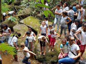 Rainforest education in "normal" times
