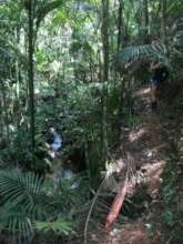 trail leading to water sources