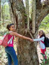 Learning to love nature