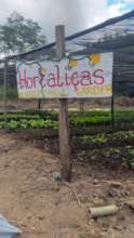 Veggie garden