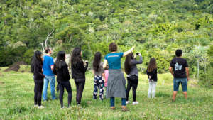 Discovering the wonders of the Atlantic Rainforest