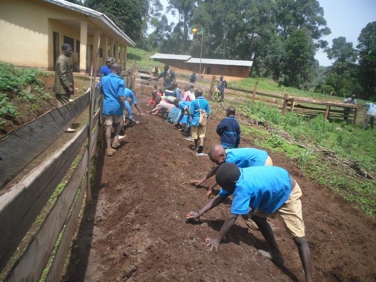 Children sowing seeds