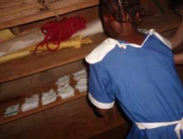 A student putting the seeds in cotton