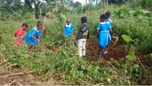 Gardening Club