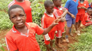 Children telling us about their garden