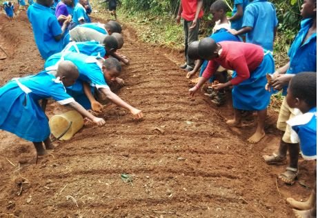 Grow hope for 150 Cameroon schoolkids