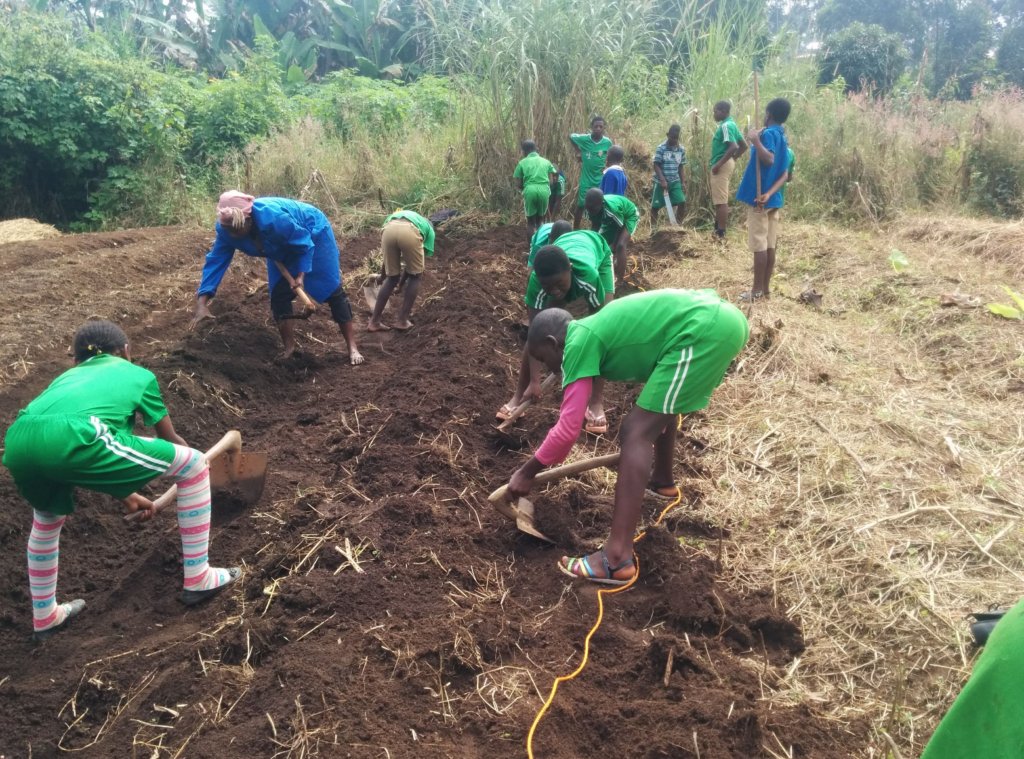 Grow hope for 150 Cameroon schoolkids