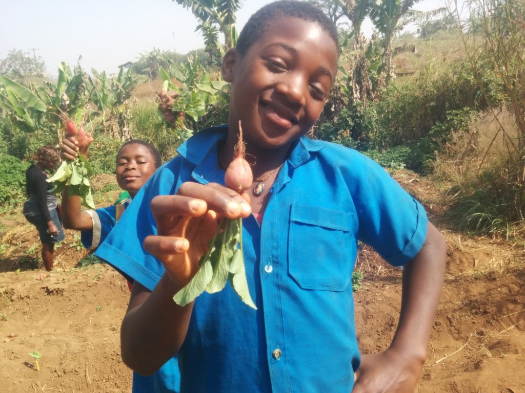 Grow hope for 150 Cameroon schoolkids
