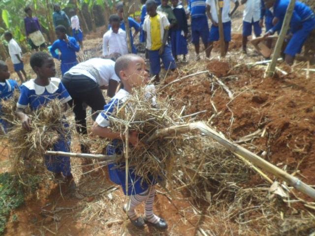 Grow hope for 150 Cameroon schoolkids