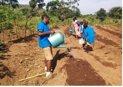 Grow hope for 150 Cameroon schoolkids