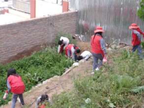 School vegetable garden