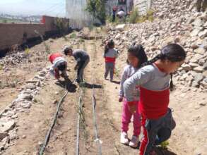 Students helping out in Plan Huerto
