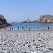 Beach trip restarted