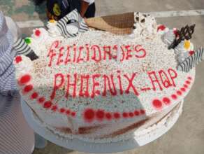 Cake