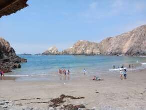 Annual beach trip