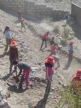 Vegetable gardens in Maldonado