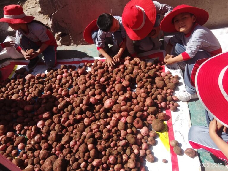 Education & nutrition for children in Peru