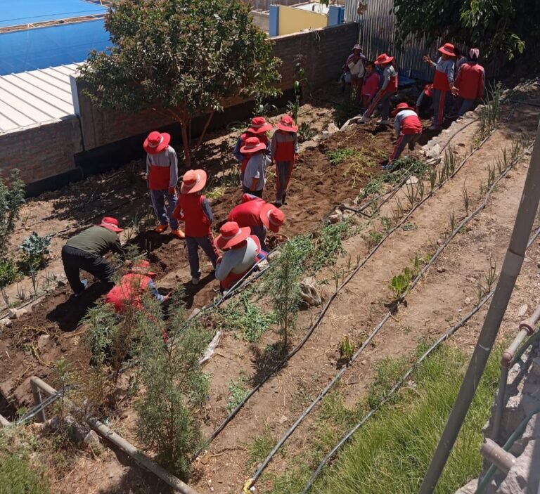 Education & nutrition for children in Peru