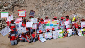 Environmental issues