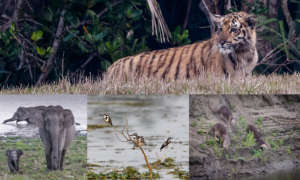 The precious biodiversity that we work to protect