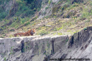 On the banks of the Brahmaputra River