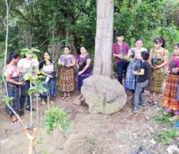 The scholarship students plant trees