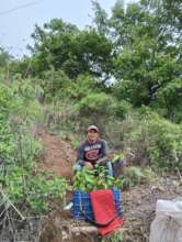 Planting trees for their future