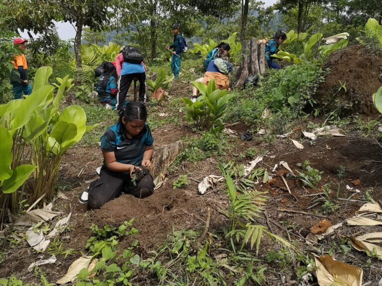Education for 500 children in Guatemala