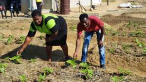 Constance from KTD196 inspecting the seedlings