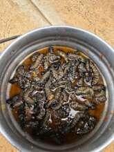 Mopani Worm stew!