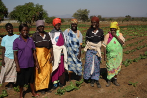 Ladies of Nkambacko and their community garden