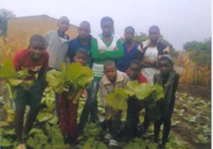 The childrens gardens - feeding their families