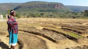 Thalane Community Garden