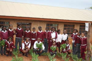 Food 4 Life Community Gardens