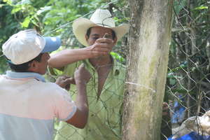 Community members help build the fence