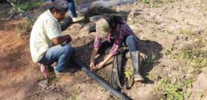 Irrigation techniques