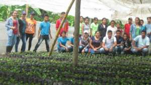 Students working on the coffee seedlings