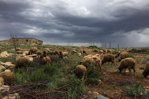 A rural shepherding village in Morocco
