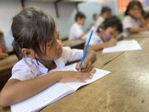 50% of students are girls