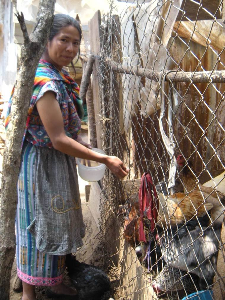 Providing Microloans for 15 Women in Guatemala