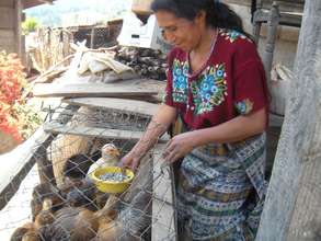 Maria with the chickens she bought with her loan