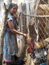 Maria with the chickens she bought with her loan