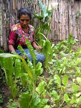 Maria in her garden finaced with her loan