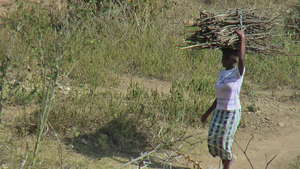 Care taker with  fire wood.
