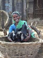 Rahibai - goats through a loan from her  Self Help