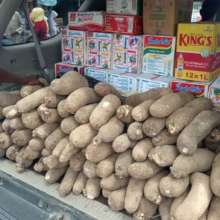 Food items for distribution during the program.