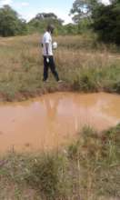 Safe larvicide for Singwamba