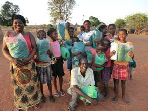 Distributing Mosquito Nets