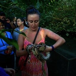 Mia from Seattle dental hygienists with snake