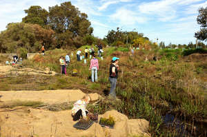 Community creekline conservation